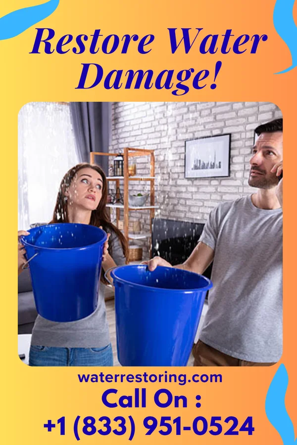 water restoration Precision Cleanup & Sons Annandale